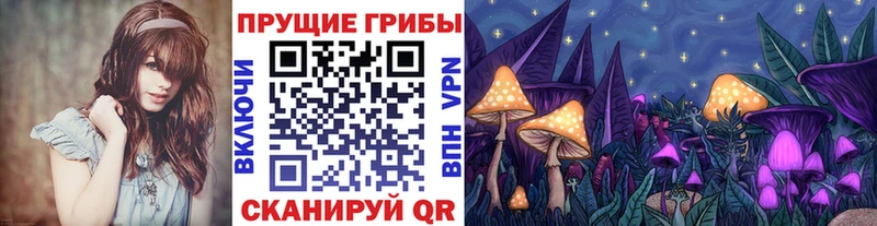 закладки Омутнинск OMG ссылки Галлюциногенные грибы Psilocybine cubensis